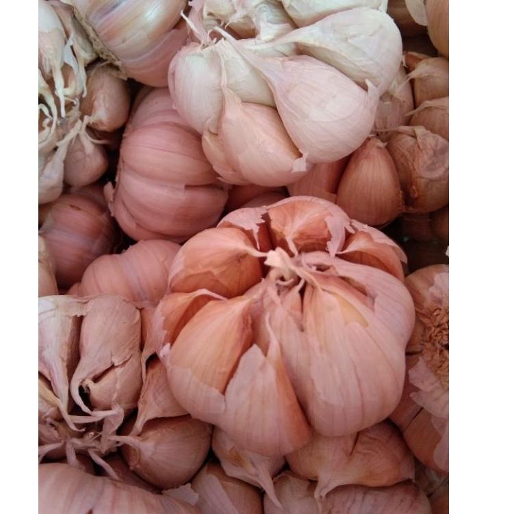 

Termurah Bawang putih banci / honan bersih 1 kg