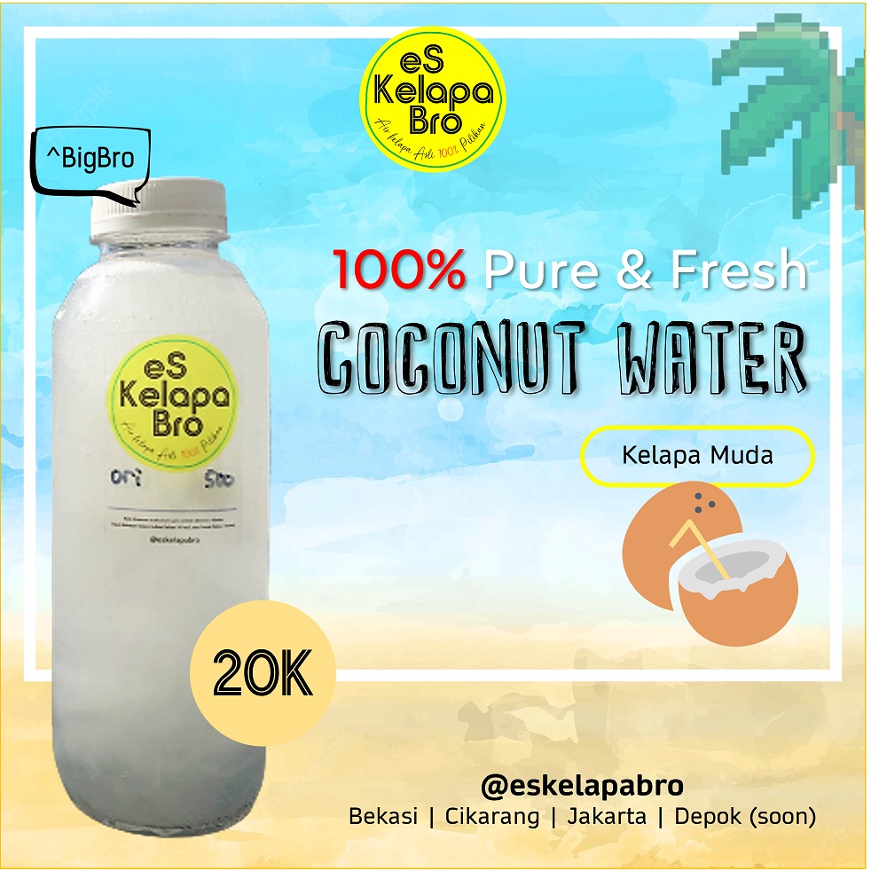 

eS Kelapa Bro Air Kelapa Muda Asli dan Murni 100% Pilihan dalam Kemasan ^BigBro