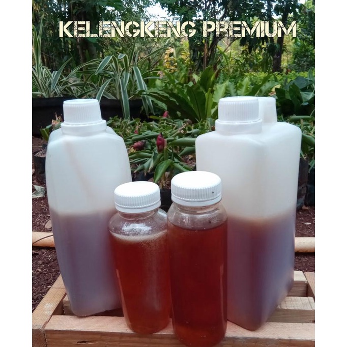 

TREND MADU KELENGKENG PREMIUM ISI BERSIH 1KG STOK TERBATAS