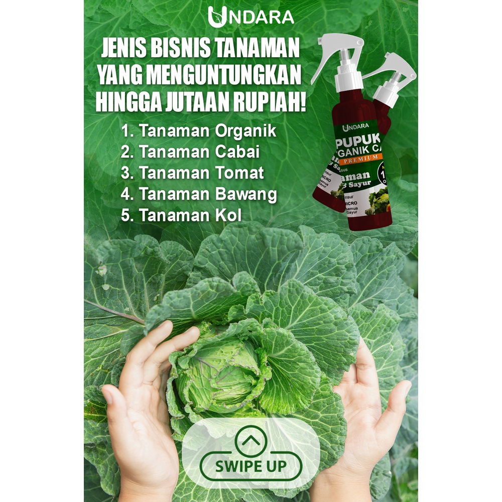 Spray Undara Cair tanaman membantu pertumbuhan dan perkembangan tumbuhan secara alami dengan bahan organik