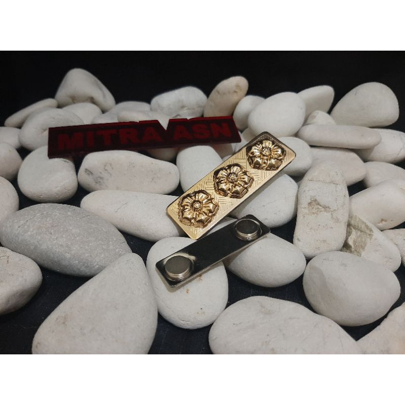 Tanjab Kerah Pangkat Kerah plat ASN 4B