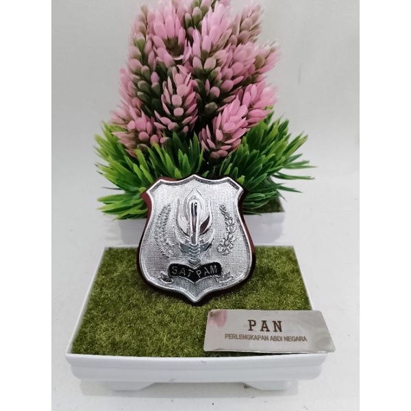 Pin Kewenangan Satpam Besar