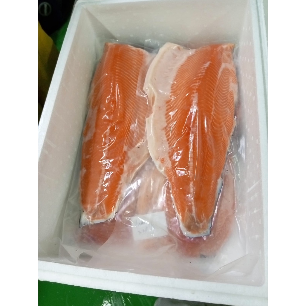 SALMON UTUH FRESH / NORWEGIAN SALMON UTUH FRESH PER EKOR SASHIMI GRADE