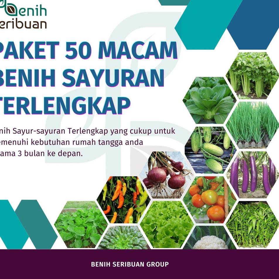 Pencarian Terpopuler Bibit Sayuran Paket Komplit 50 Macam Benih Sayuran Unggul Kangkung, Bayam Teron