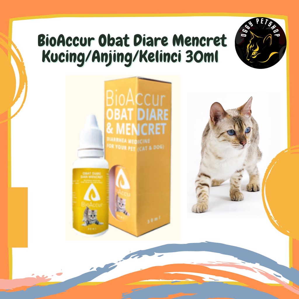 BioAccur Obat Diare Mencret Kucing/Anjing/Kelinci 30ml - BIO ACCUR