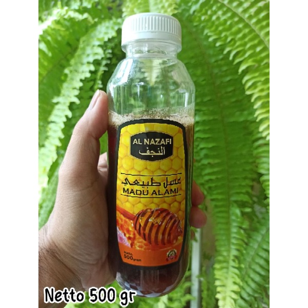 

Madu murni madu alami nektar hutan akasia 500 GRAM