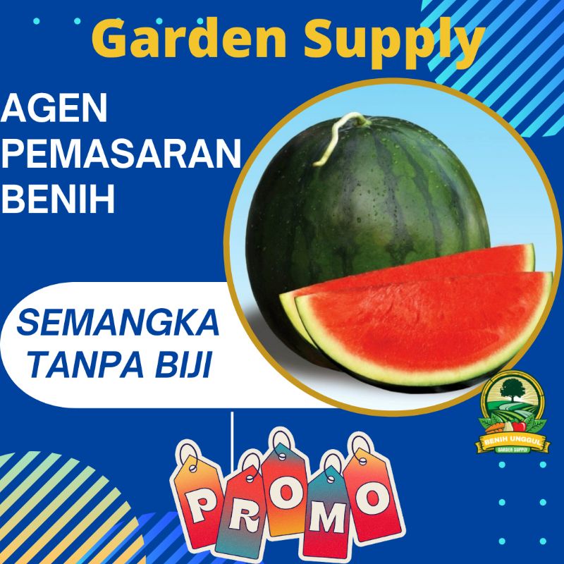Benih 6 Biji Semangka Amara F1 Non Biji