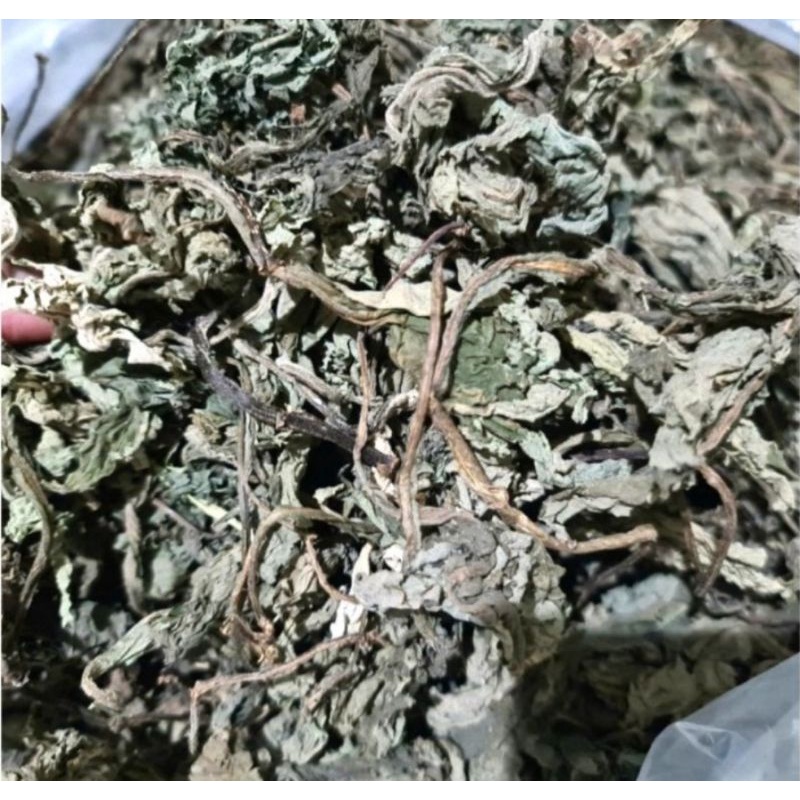 

daun insulin atau kipahit kualitas kering organik per 500.GRM