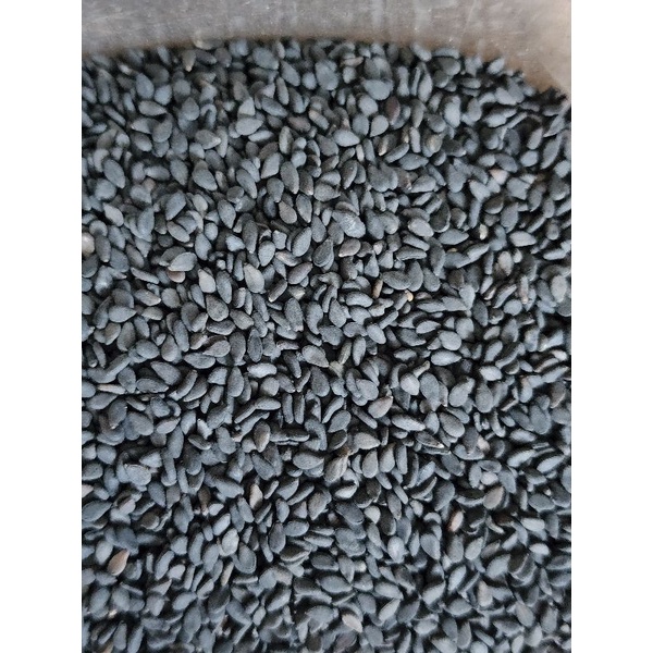 Wijen hitam 100 gram - Black sesame seed 100gr PREMIUM QUALITY