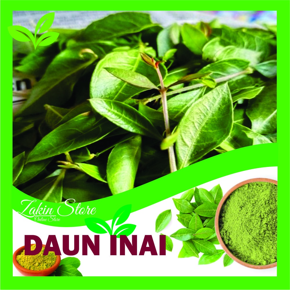 Daun Pacar Kuku  / daun Inai / Daun henna / Daun Pacar Arab 100 Gram