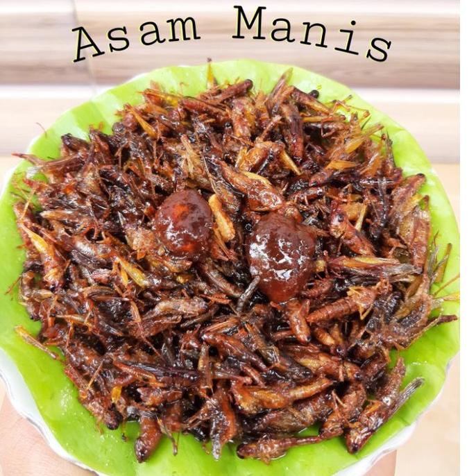 

Oke Price cemilan belalang walang simeut goreng kecil 170gr kemasan box 0