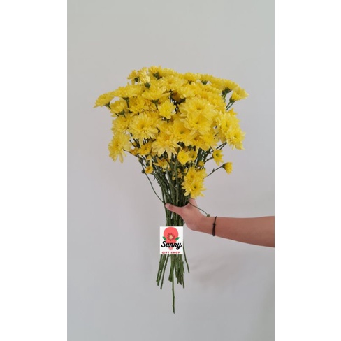 Bunga Aster / Fresh Flower/ Bunga Segar / Bunga Palembang