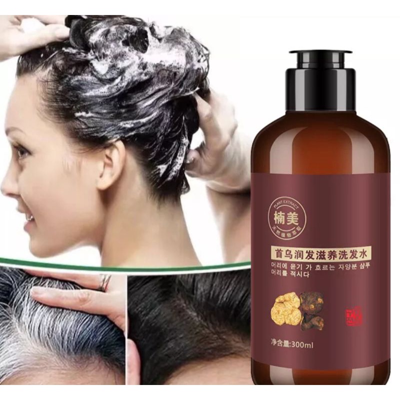 Shampoo Penghitam Rambut Uban Natural Polygonum MultiflorumShine Activ-Infusion Rambut Hitam Berkilau Dengan UrangAring 300ml