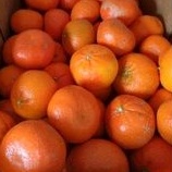 

Jeruk Murcot Manis Tidak Ada Biji Jeruk Impor 1kg