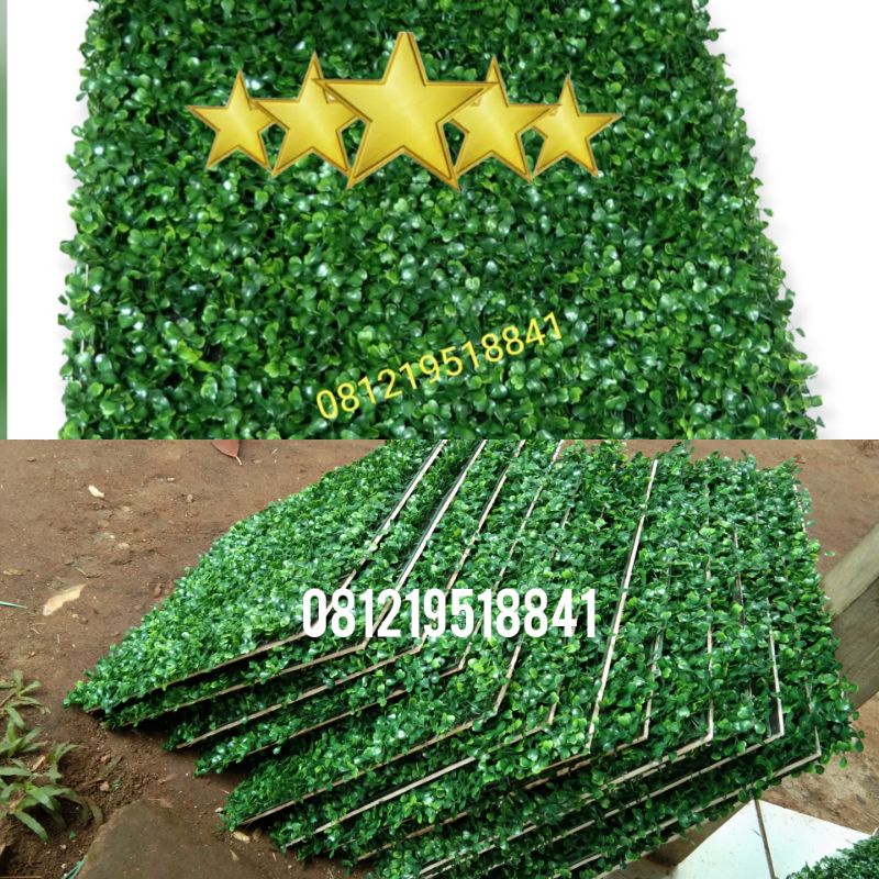 DAUN RAMBAT DOLAR,DAUN SINTETIS 50 x 50 CM, DAUN PLASTIK, TANAMAN SINTETIS, DAUN DOLAR SINTETIS, RUM