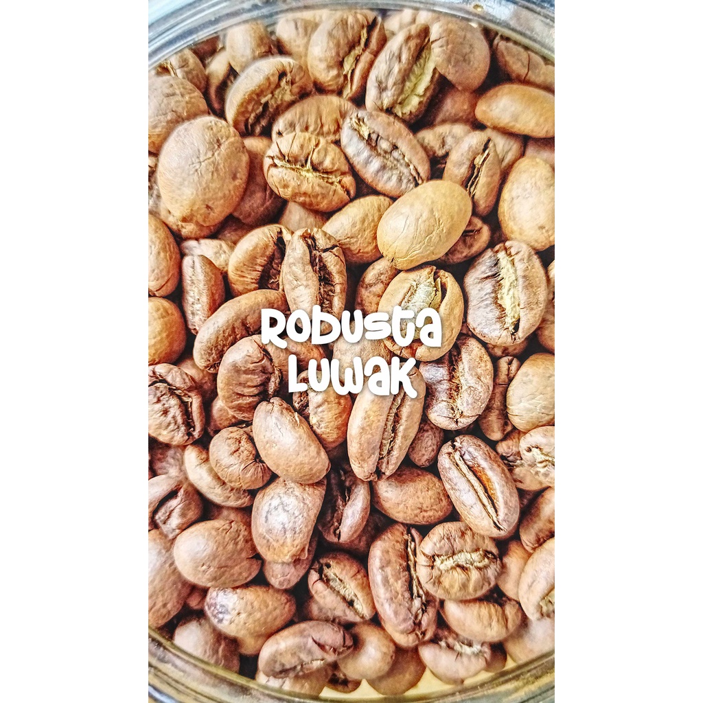

Kopi Robusta Luwak Pagaralam Sumsel | Rendjana Coffee