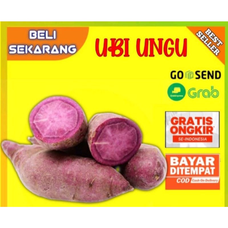 

UBI UNGU