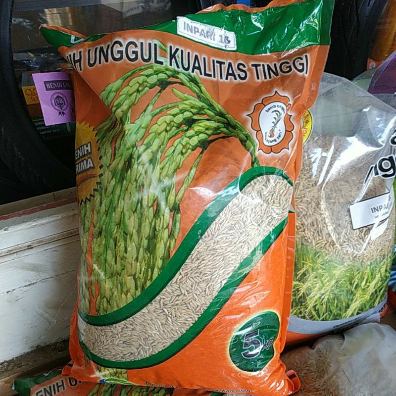 benih padi inpari 16 benih unggul madiun