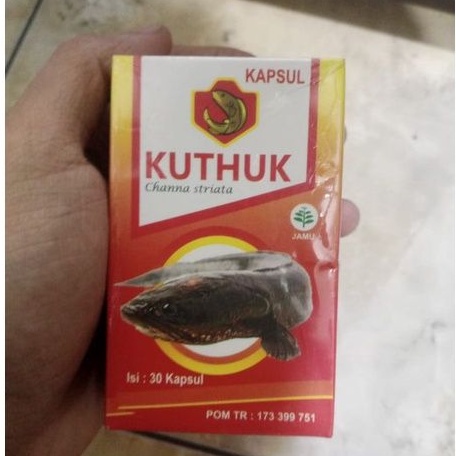 

DISKON kapsul minyak kutuk ikan isi 30 kapsul