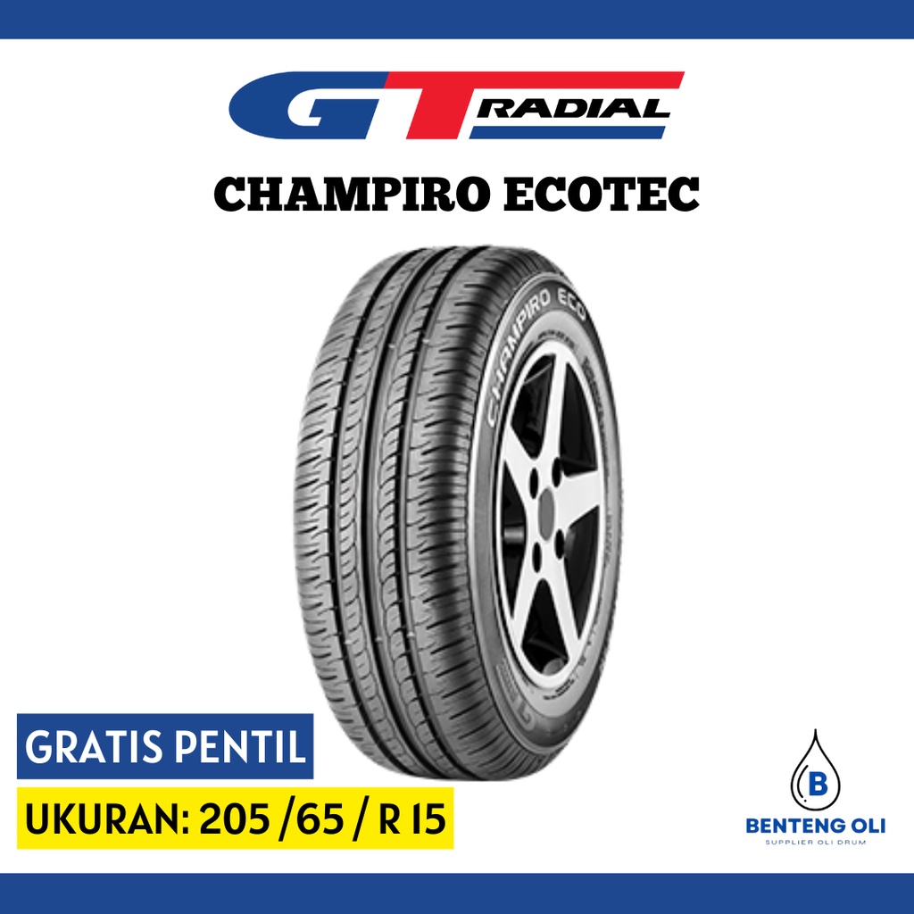 BAN Innova GT Champiro Ecotec 205/65/R15