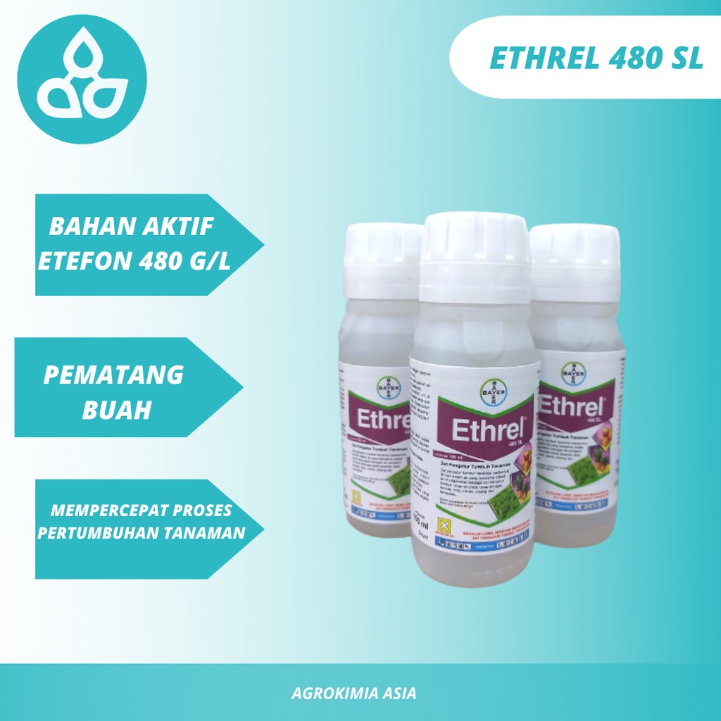 Ethrel 480 Sl 100 Ml Zpt Pematang Buah Pisang Pepaya Naga