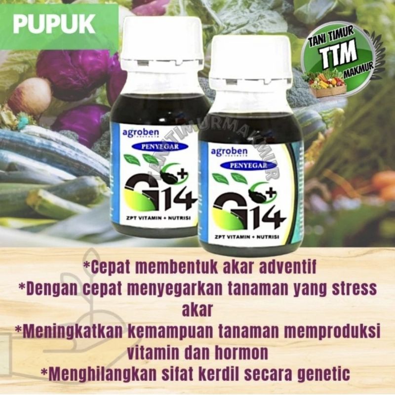AGROBEN PENYEGAR G14 ZPT VITAMIN TUMBUHAN