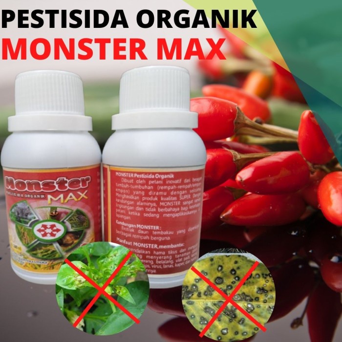 Anyar Pestisida Organik Obat Hama Cabe,Pestisida Untuk Antraknose Patek Cabe "k;