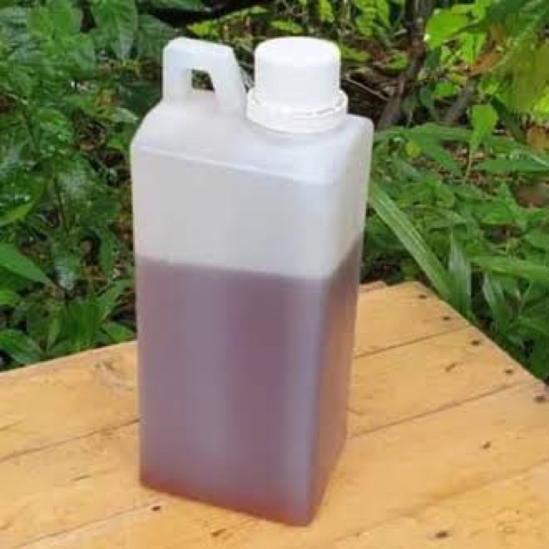 

Madu asli melifera asli