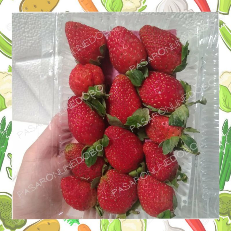 

Buah Strawberry Segar
