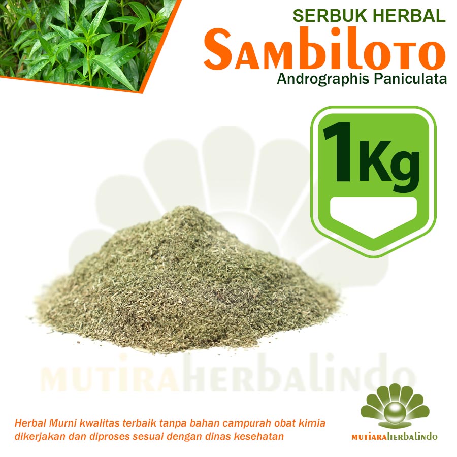 

1KG Bubuk SAMBILOTO Herbal Radang Ginjal Akut Usus Buntu Amandel Asma