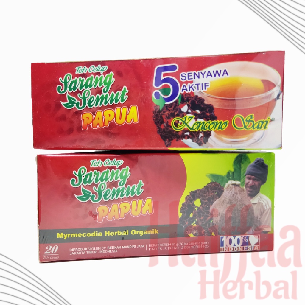 

Teh Celup Sarang Semut Papua Kencono Sari Teh Herbal Asam Urat Asli Original