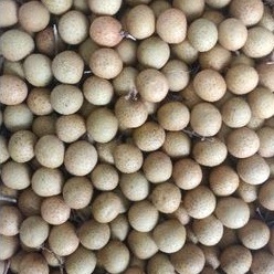 

Buah Kelengkeng Madu 1kg