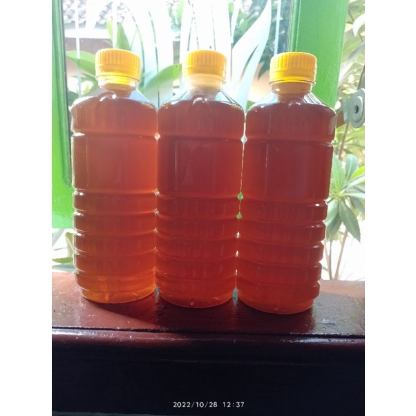 

madu Liar cerana lokal kental