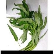 

Kangkung Organik 250g