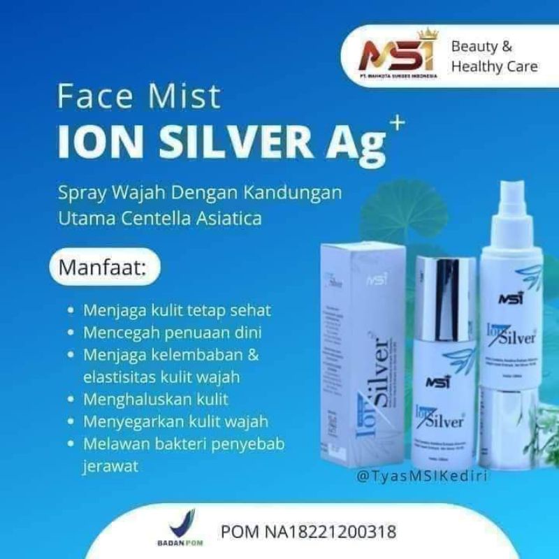 Ion Silver MSI