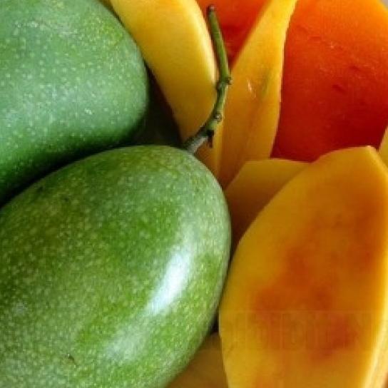 

Star FCW - Mangga Manalagi 1 KG !!