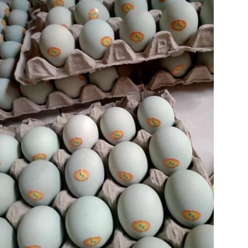 

SALE✅Telur Asin Masir dan Berminyak (isi 10 butir)|KD1