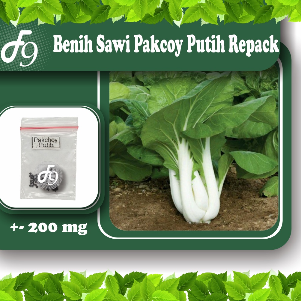 Benih Bibit Pakcoy Pakchoy Putih Murah Repack Seribuan