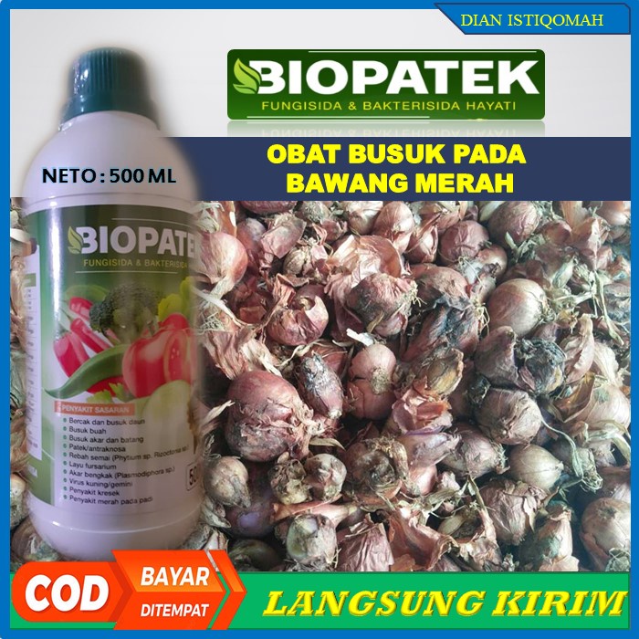 (Terbaru) BIOPATEK Obat Semprot Atasi Busuk Tanaman Bawang Merah Terampuh - Obat Organik Biopatek Me