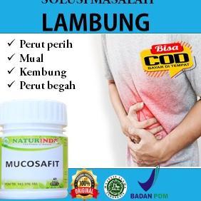 Naturindo Mucosafit Obat Herbal Asam Lambung Obat Maag Herbal Obat Lambung Herbal Asam Lambung Keseh
