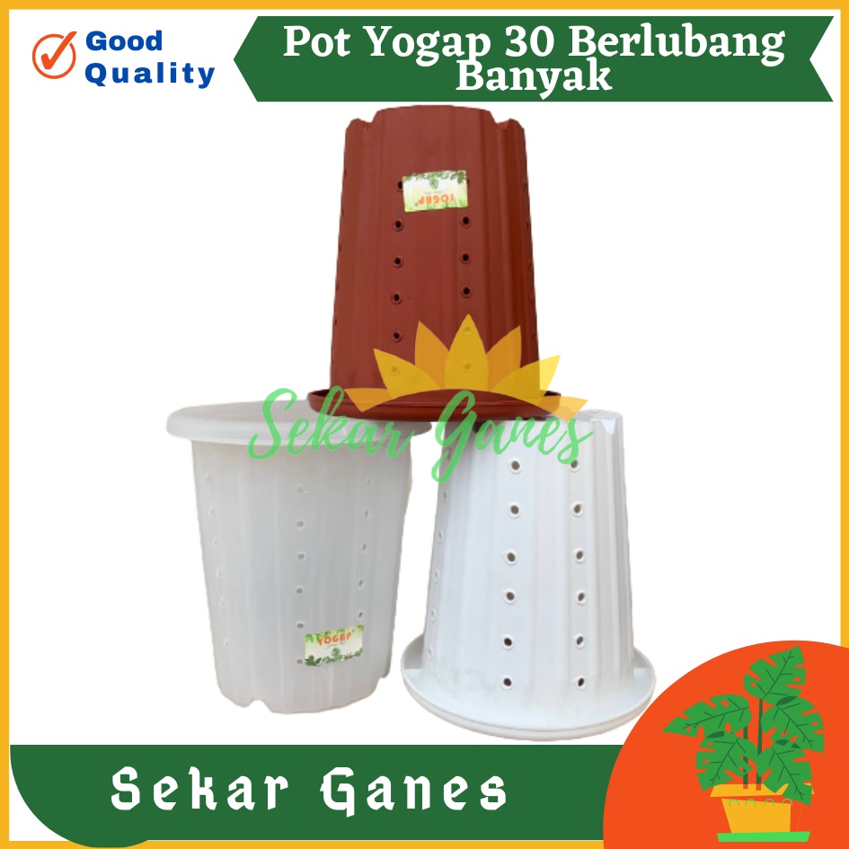 TERMURAH Pot Yogap 30 BERLUBANG Putih Bening Transparan Merah Bata Merah Coklat Terracota Terracotta-POT BUNGA YOGAP YPT 13 BERLUBANG BENING / TRANSPARAN PUTIH &amp; MERAH BATA | POT TANAMAN HIAS