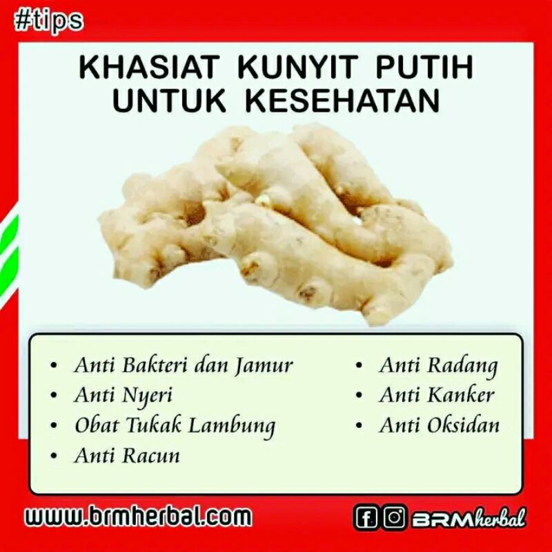 

kunyit putih obat wasir