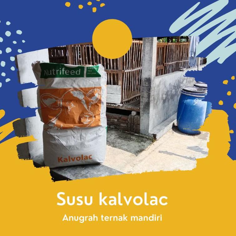 

[PRODUK 7CZ] SUSU KALVOLAC | PENGGANTI SUSU INDUK ANTI DIARE NETTO 1KG FLK