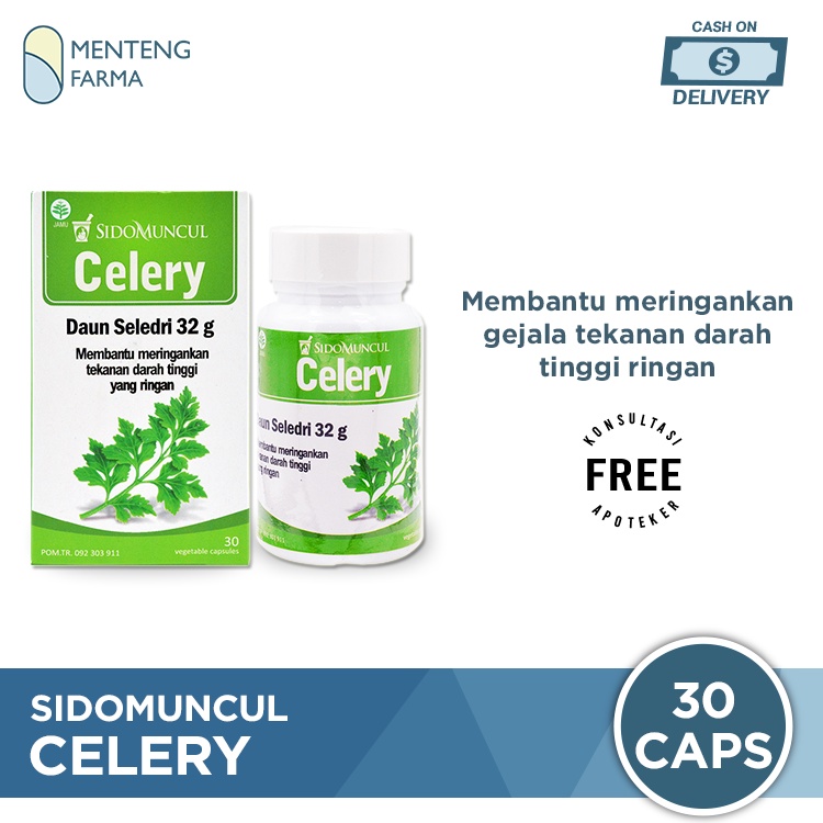 Sido Muncul Celery 30 Kapsul - Herbal Ekstrak Daun Seledri