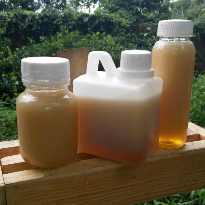 

TERBARU MADU KOPI SUPER ISI BERSIH 500G TERBAIK