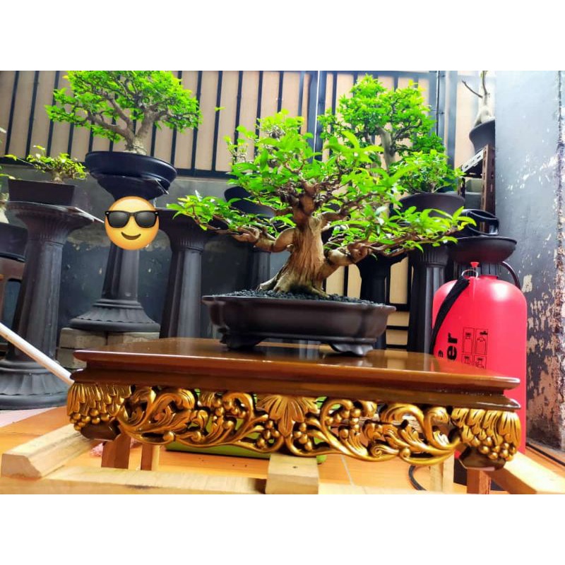 Meja bonsai/tatakan pot bonsai 40x40