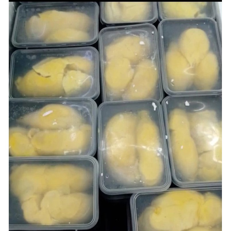 

Durian montong - Duren montong palu