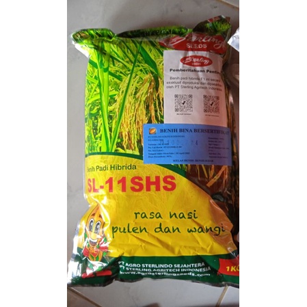 Benih Padi unggul SL 11 SHS