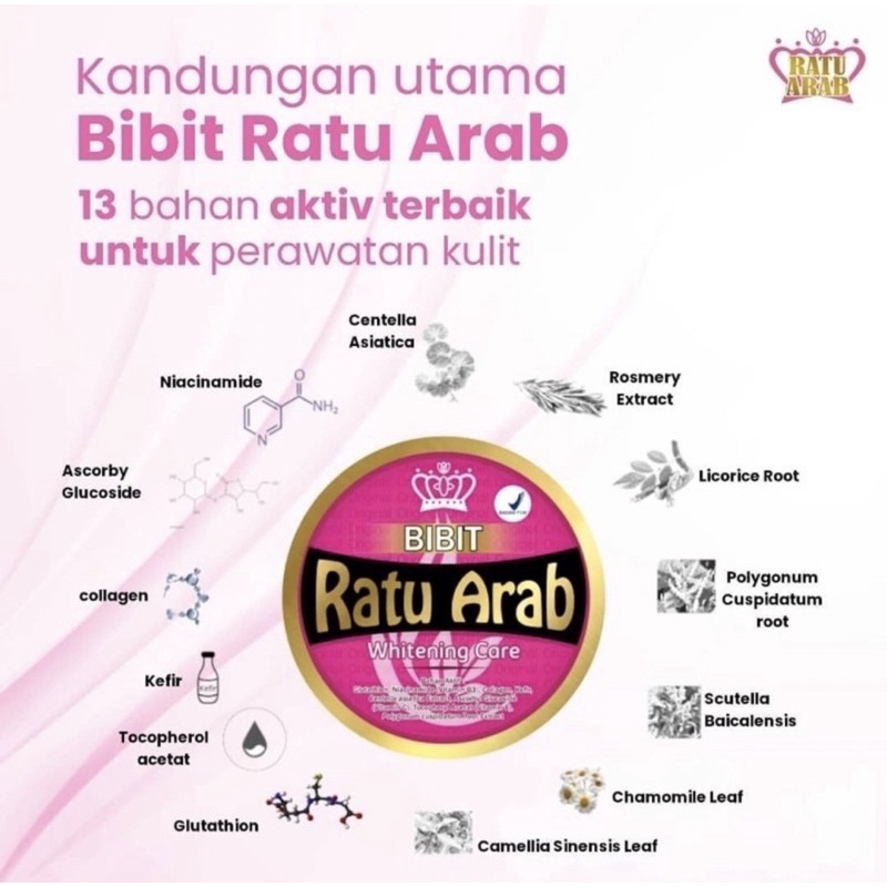 Hand and body bibit ratu arab | ORIGINAL | BPOM