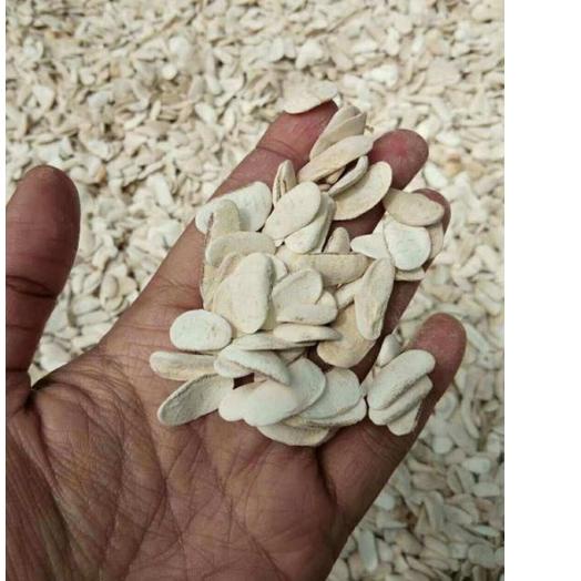 

10.10 SALE buah biji mahoni kupas 500 grm !!